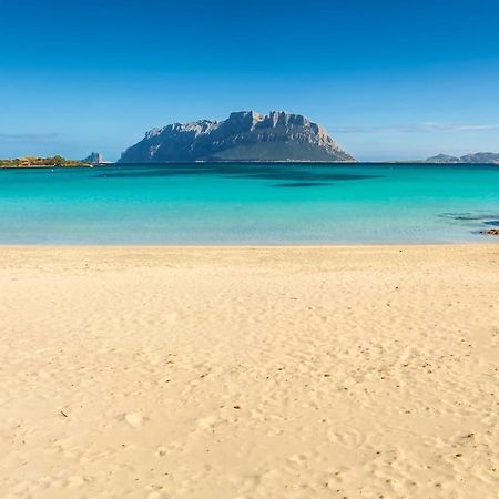 La Cala Daire Olbia Dış mekan fotoğraf